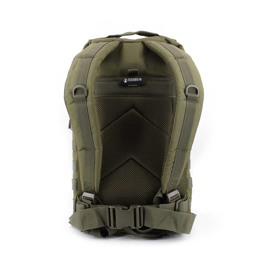 MOCHILA FORAVENTURE MOLLE ASALTO GR. 36L VERDE