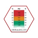 BOTELLA GAS ASG ULTRAIR 178 PSI 570 ML ROJO