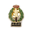 PIN GOE VERDE-DORADO