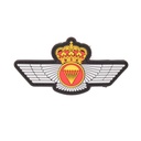 PARCHE IMMORTAL PVC ROQUISQUI BRIPAC GRIS