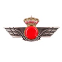 ROQUISQUI IMMORTAL METALICO AVIACION