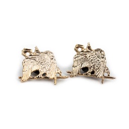 [130891-E] EMBLEMA METALICO CUELLO 2PCS ESPECIALISTA