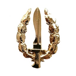 [130901] EMBLEMA BOINA COE METALICO DORADO