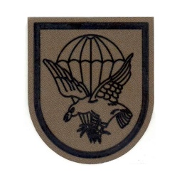 [301425-OD] PARCHE BRIPAC CUARTEL GENERAL AGUILA VERDE
