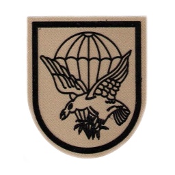 [301425-DE] PARCHE BRIPAC CUARTEL GENERAL AGUILA VELCROTAN