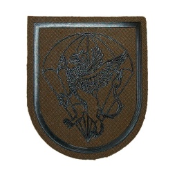 [301426-OD] PARCHE BRIPAC BATALLON CUARTEL GENERAL DRAGON VERDE