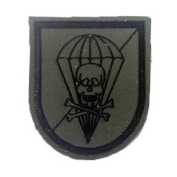 [301502-OD] PARCHE BRIPAC DEFENSA CONTRA CARROS CALAVERA C/VELCRO VERDE