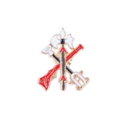 [365161] PIN LEGION GR. MULTICOLOR