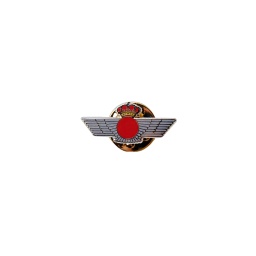 [365265] PIN ROQUISQUI CIRCULO ROJO PLATA/DORADO