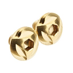 [CCT-TMHC-129] COWCOW STAINLESS STEEL GRIP SCREW GOLD