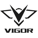 VIGOR