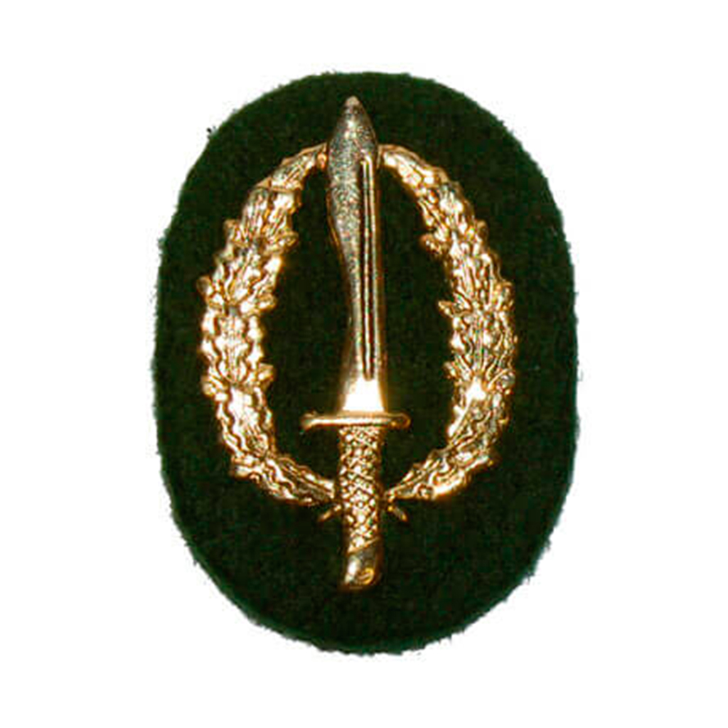 EMBLEMA BOINA COE C/FIELTRO VERDE