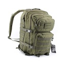 MOCHILA IMMORTAL MOLLE GR. 36L VERDE