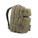 MOCHILA IMMORTAL MOLLE PEQ. 20L VERDE