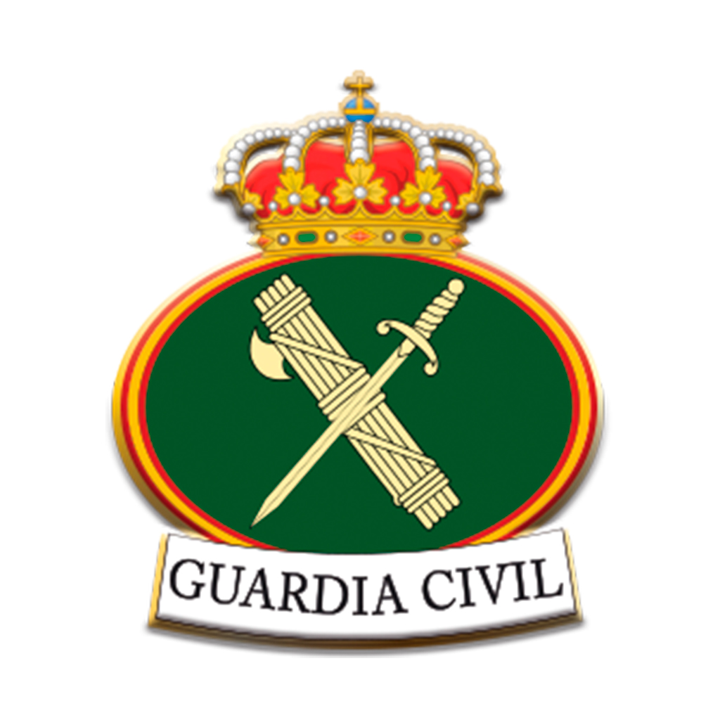 PIN BARBARIC GUARDIA CIVIL GENERICO BANDERA MULTICOLOR