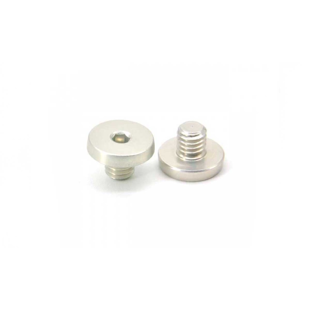AIP 7075 ALUMINUM GRIP SCREWS TYPE 5 FOR TM 5.1/4.3 SILVER