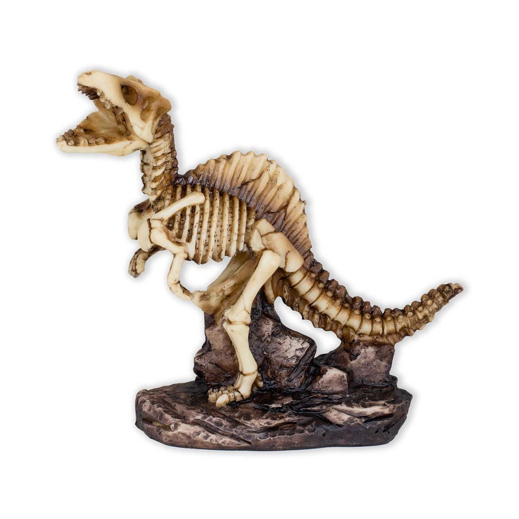 FIGURA RESINA DINOSAURIO ESQUELETO ESPINOSAURIO