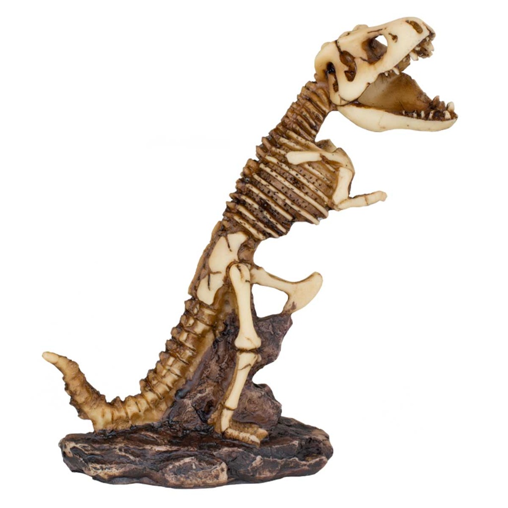 FIGURA RESINA DINOSAURIO ESQUELETO