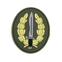 PARCHE IMMORTAL PVC BOINA COE VERDE