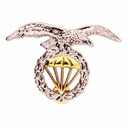 EMBLEMA BOINA IMMORTAL BRIPAC DORADO-PLARA