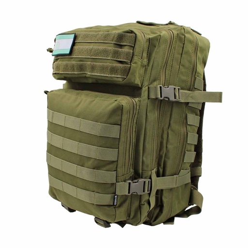 [IW-40103-OD] MOCHILA IMMORTAL MOLLE MOD.V 45L VERDE