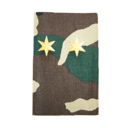 [301256-T] HOMBRERAS PAR TENIENTE