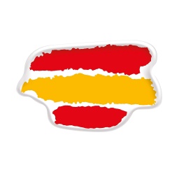 [130231-TES] PEGATINA ABULTADA GR. 1PCS TRAZOS ESPAÑA