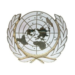 [150933/09741] EMBLEMA BOINA ONU METALICO BLANCO