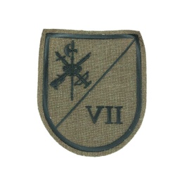 [301267] PARCHE LEGION VII BANDERA VALENZUELA VERDE