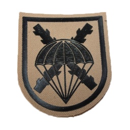 [301331-DE] PARCHE BRIPAC GENERICO TAN