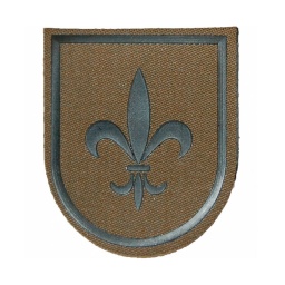 [301411-OD] PARCHE BRIPAC 1º BANDERA FLOR VERDE