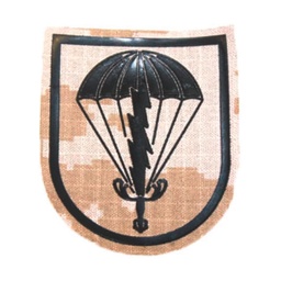 [301415-PA] PARCHE BRIPAC TRANSMISIONES  RAYO PIX.ARIDO