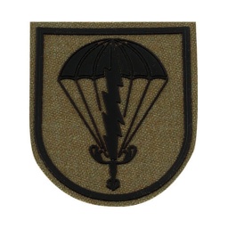 [301415-OD] PARCHE BRIPAC TRANSMISIONES  RAYO VERDE