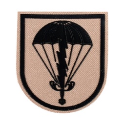 [301415-DE] PARCHE BRIPAC TRANSMISIONES  RAYO TAN