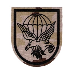 [301425-PA] PARCHE BRIPAC CUARTEL GENERAL AGUILA C/VELCRO PIX.ARIDO