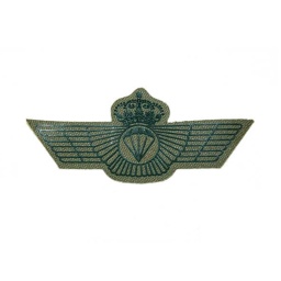 [303339-OD] PARCHE ROQUISQUI BRIPAC C/VELCRO VERDE