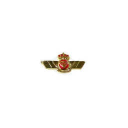 [365156] PIN ROQUISQUI BRIPAC DORADO-PLATA