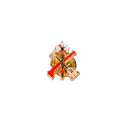[365164-M] PIN LEGION MULTICOLOR