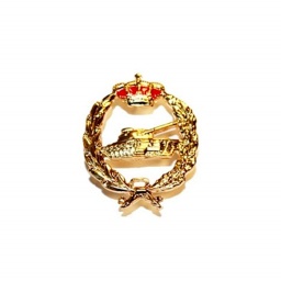 [130923] EMBLEMA BOINA CARROS METALICO DORADO