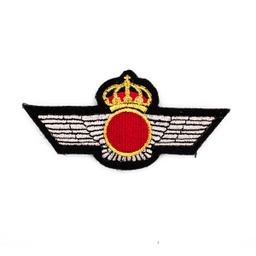 [245133] PARCHE BORDADO ROQUISQUI LISO NEGRO-PLATA