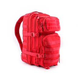 [IW39208-RED] MOCHILA IMMORTAL MOLLE PEQ. 20L ROJA