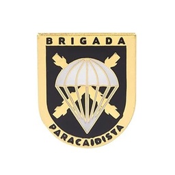 [IW-0607-BK] PIN IMMORTAL BRIPAC NEGRO