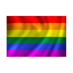 [300106/88024] BANDERA GAY 130 X 90 MORADO-VERDE-AZUL